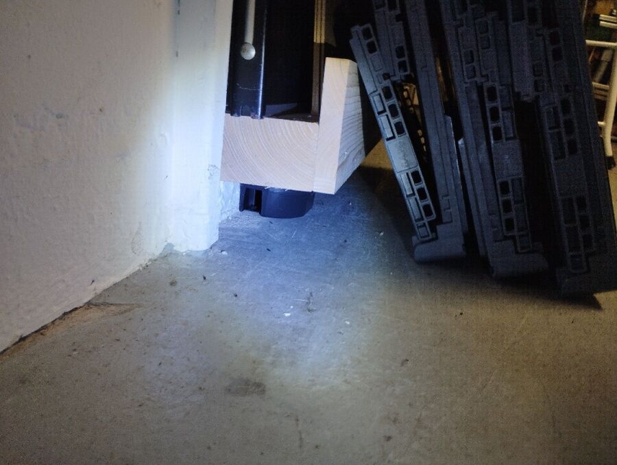 combattre-rats-ratton-rongeur-mulot