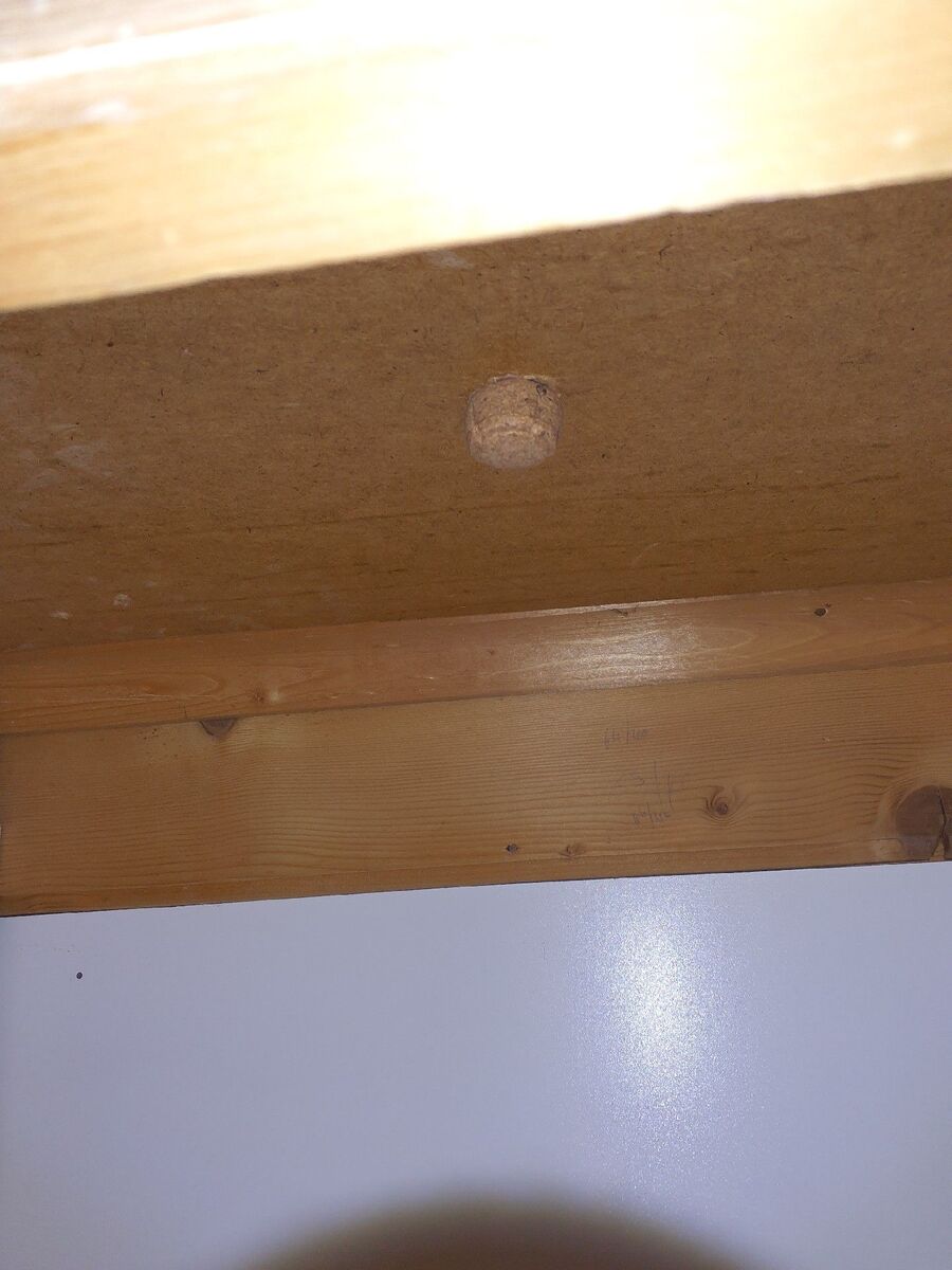 souris-rongeur-mulot-rats