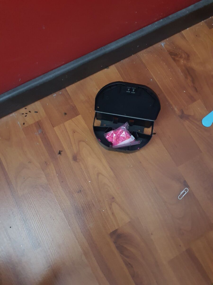 ratton-rats-rongeur-souris-deratiseur