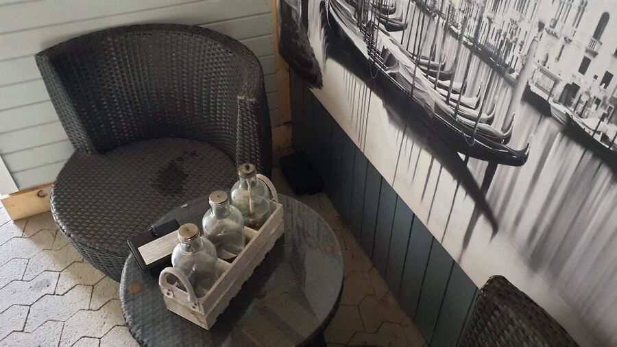 souris-rongeur-mulot-rats