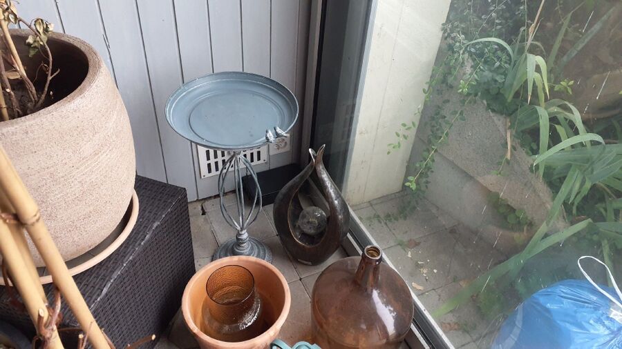 ratton-rats-rongeur-souris-deratiseur