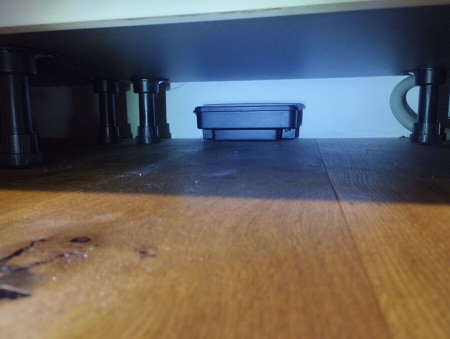 souris-rongeur-mulot-rats