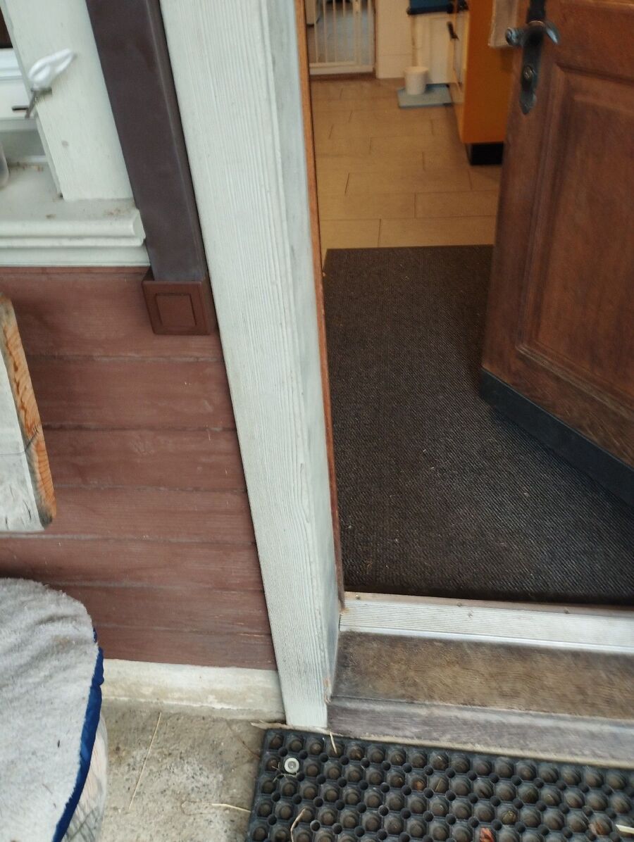 lutte-mulot-rats-rongeurs-souris