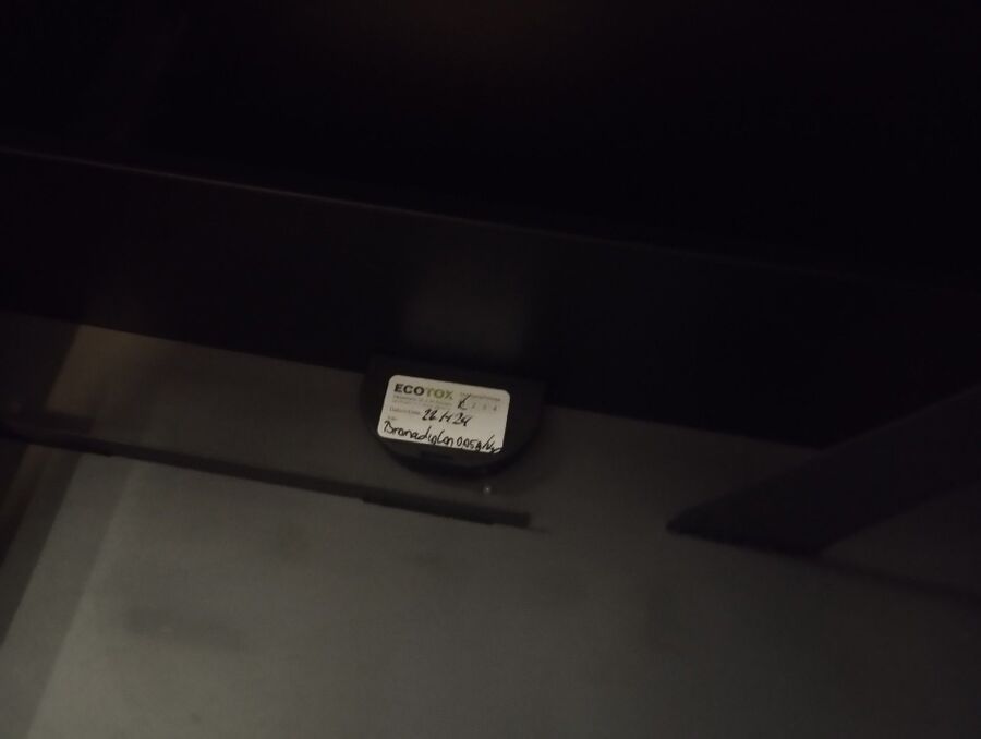 ratton-rats-rongeur-souris-deratiseur