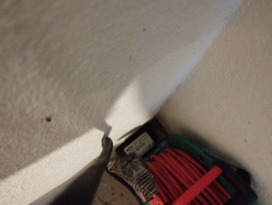 combattre-rats-ratton-rongeur-mulot