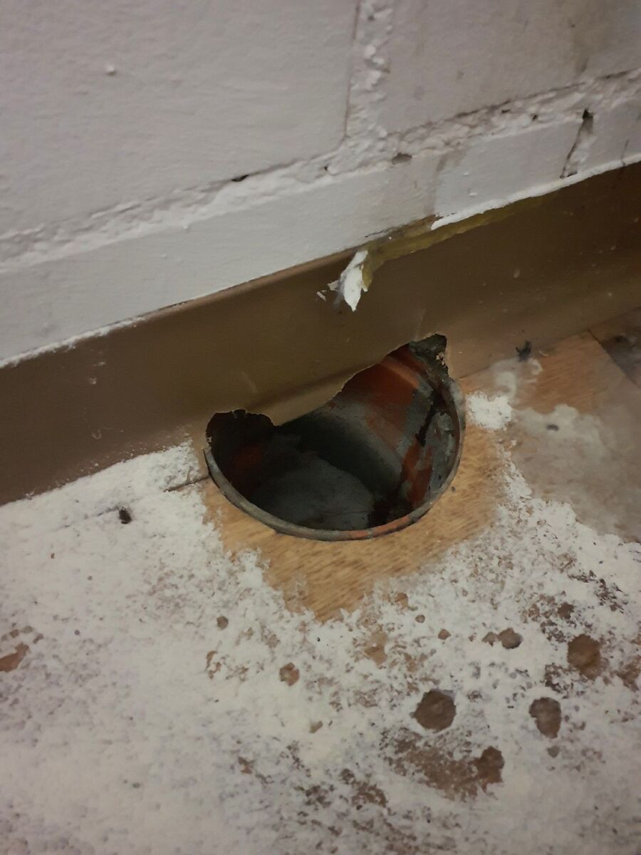 ratton-rats-rongeur-souris-deratiseur