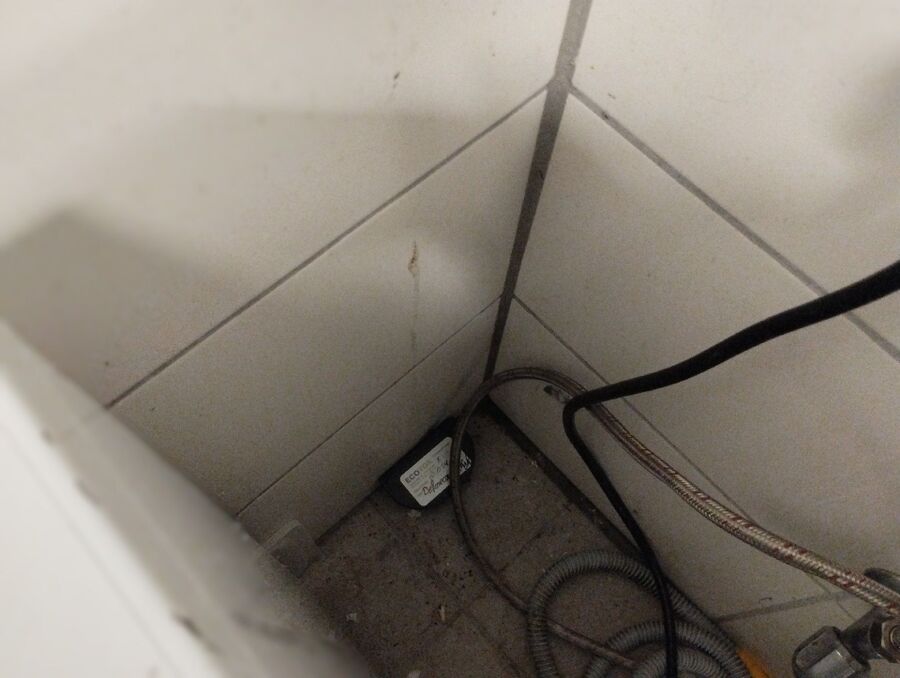 ratton-rats-rongeur-souris-deratiseur