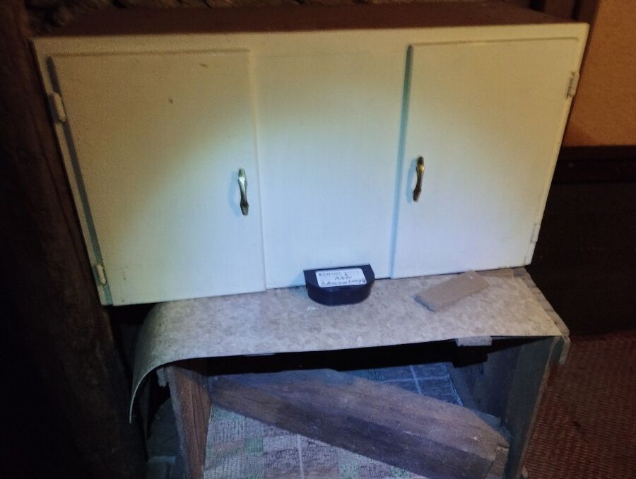 souris-rongeur-mulot-rats