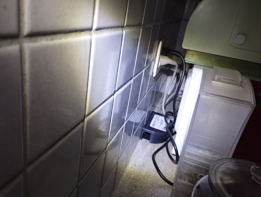 combattre-rats-ratton-rongeur-mulot