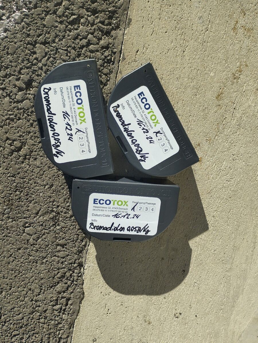 combattre-rats-ratton-rongeur-mulot