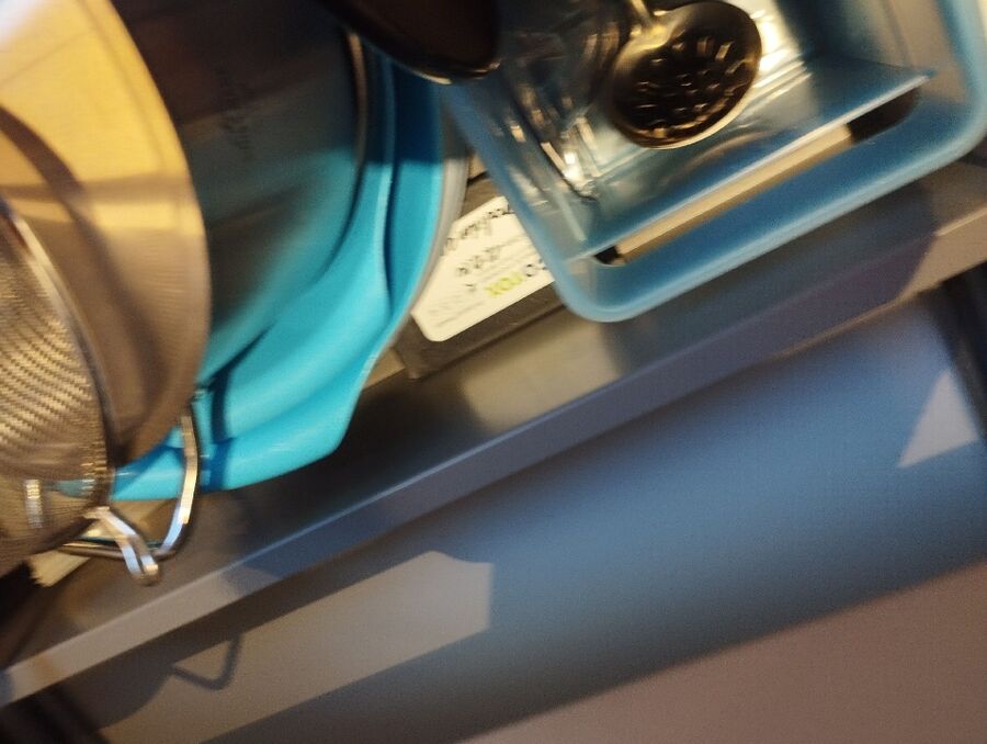 ratton-rats-rongeur-souris-deratiseur