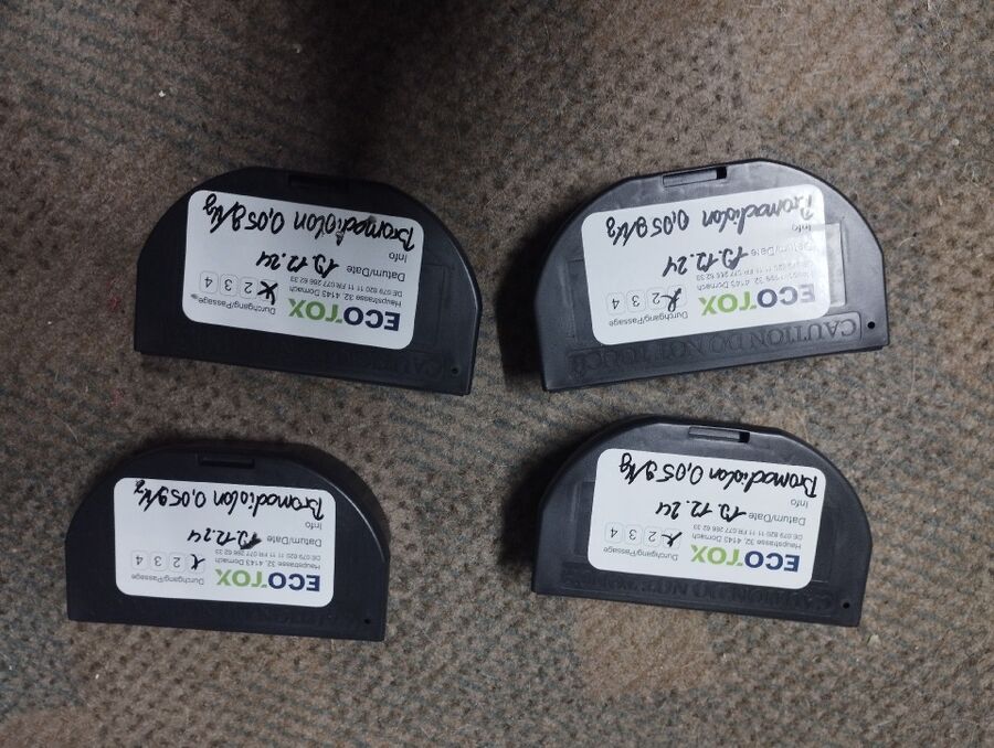 souris-rongeur-mulot-rats