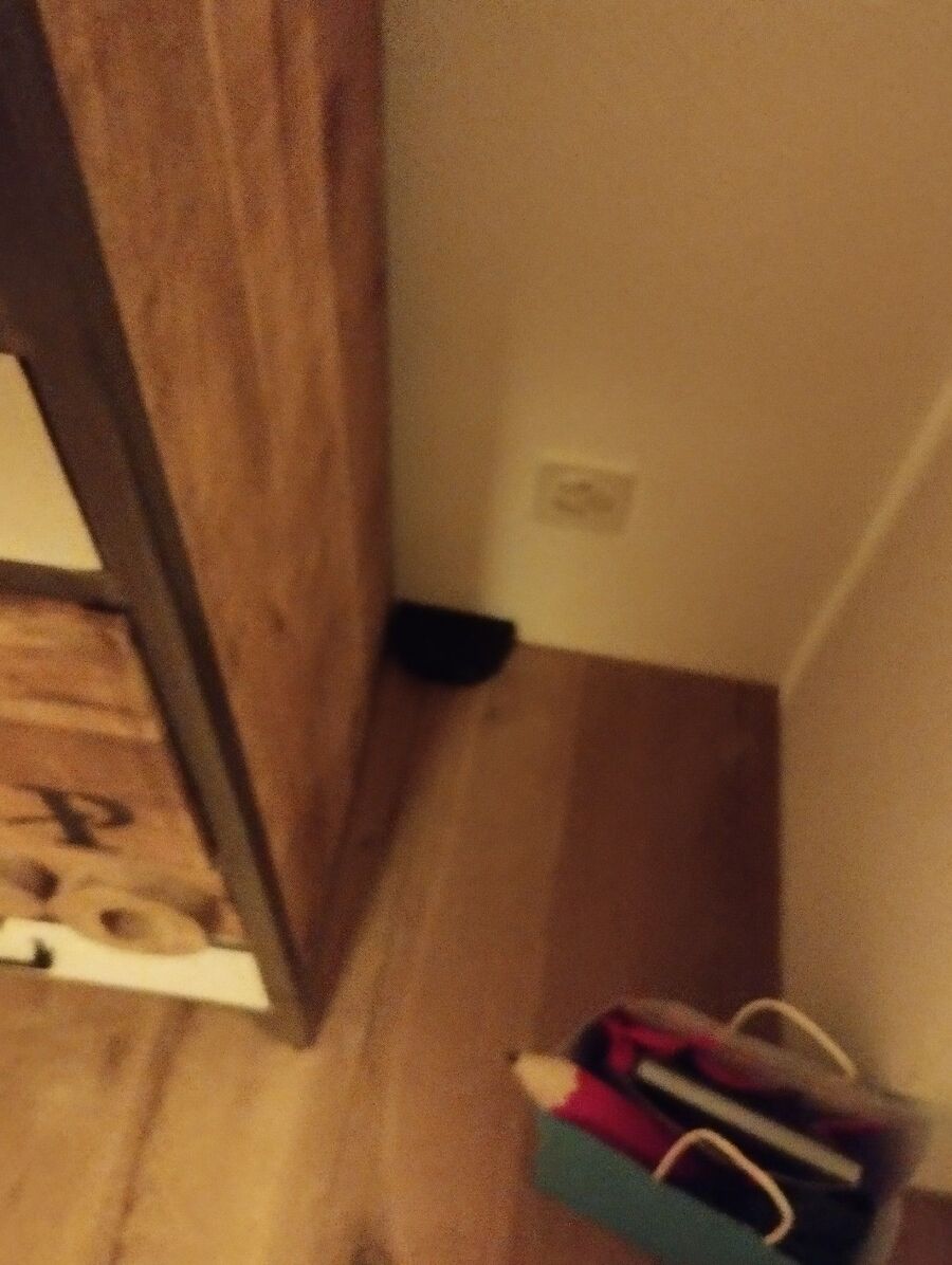 lutte-mulot-rats-rongeurs-souris