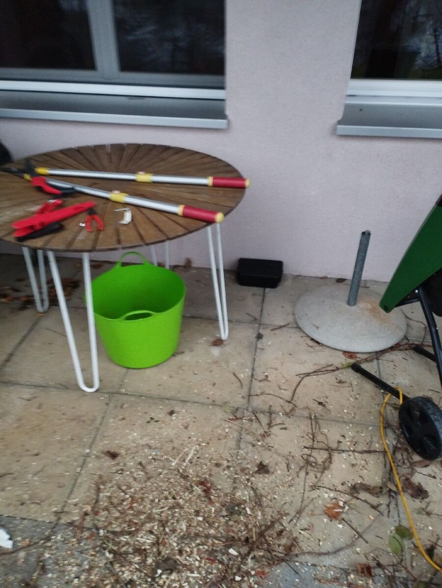 ratton-rats-rongeur-souris-deratiseur