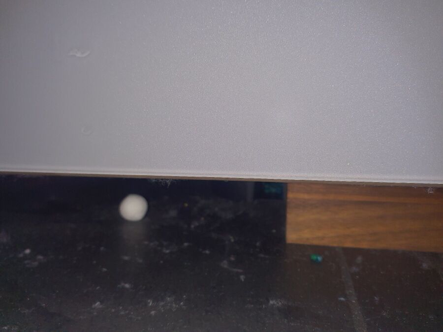 combattre-rats-ratton-rongeur-mulot