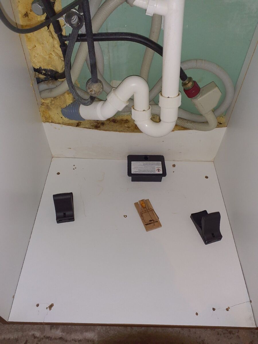 combattre-rats-ratton-rongeur-mulot