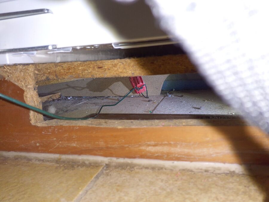 souris-rongeur-mulot-rats