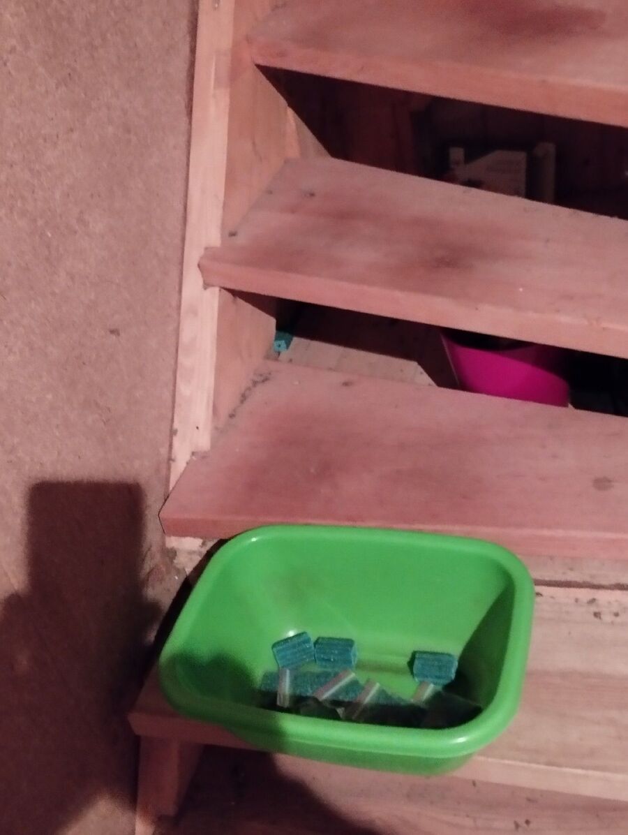 lutte-mulot-rats-rongeurs-souris