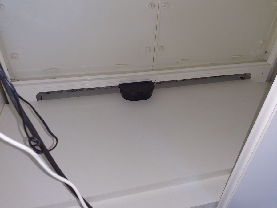 souris-rongeur-mulot-rats