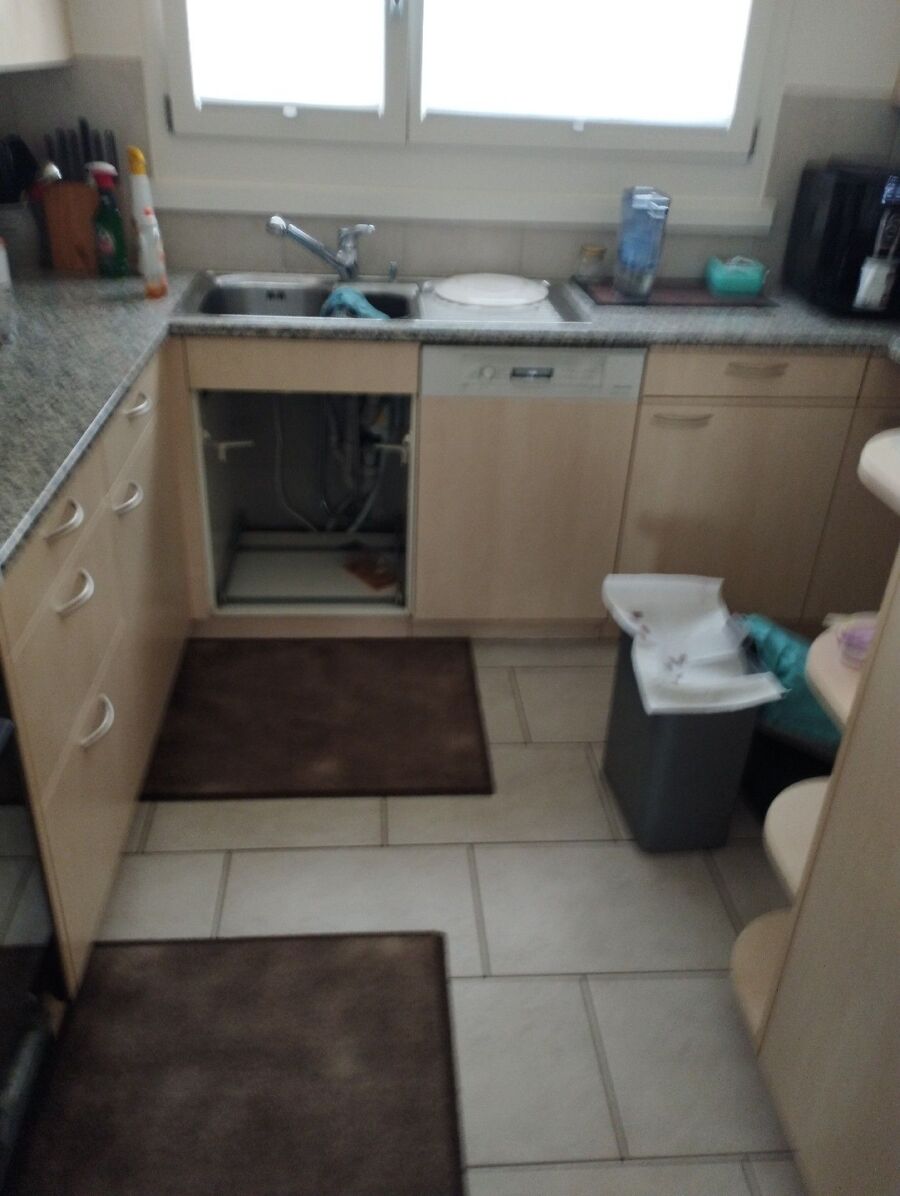 combattre-rats-ratton-rongeur-mulot