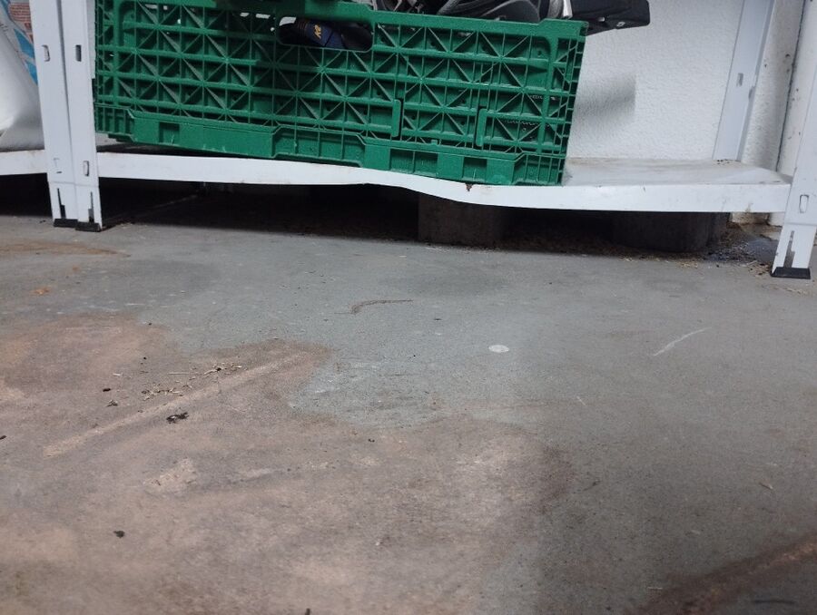 lutte-mulot-rats-rongeurs-souris