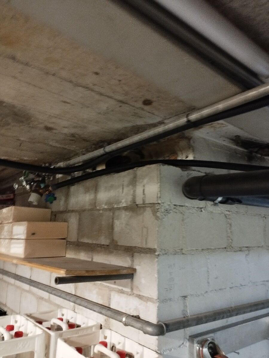 combattre-rats-ratton-rongeur-mulot