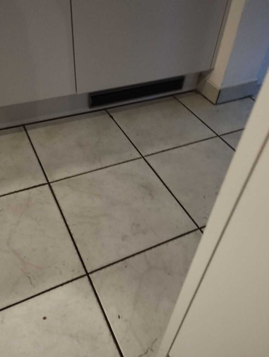 combattre-rats-ratton-rongeur-mulot