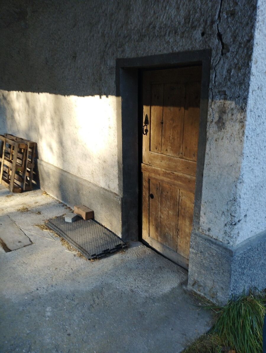 ratton-rats-rongeur-souris-deratiseur