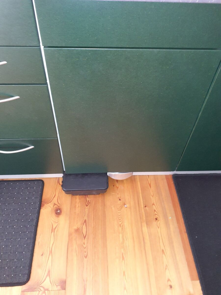 ratton-rats-rongeur-souris-deratiseur