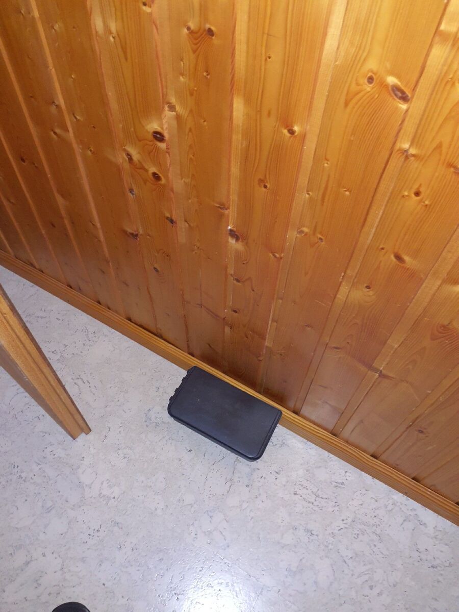 souris-rongeur-mulot-rats