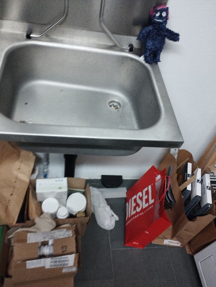 souris-rongeur-mulot-rats