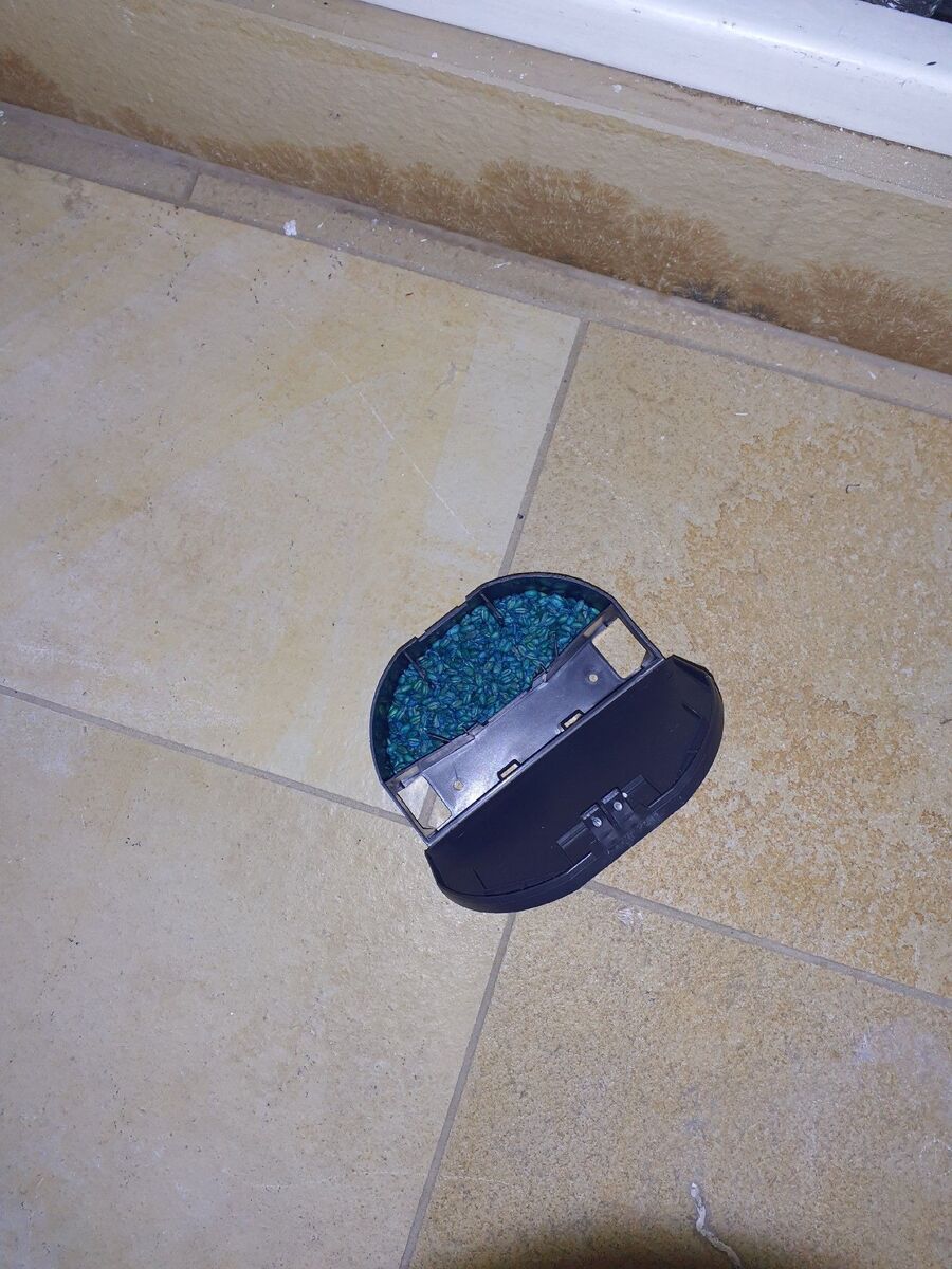 souris-rongeur-mulot-rats