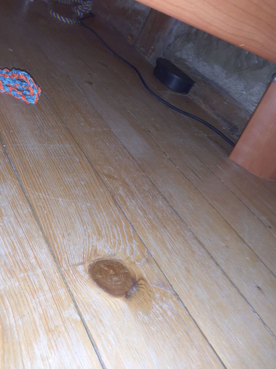 combattre-rats-ratton-rongeur-mulot