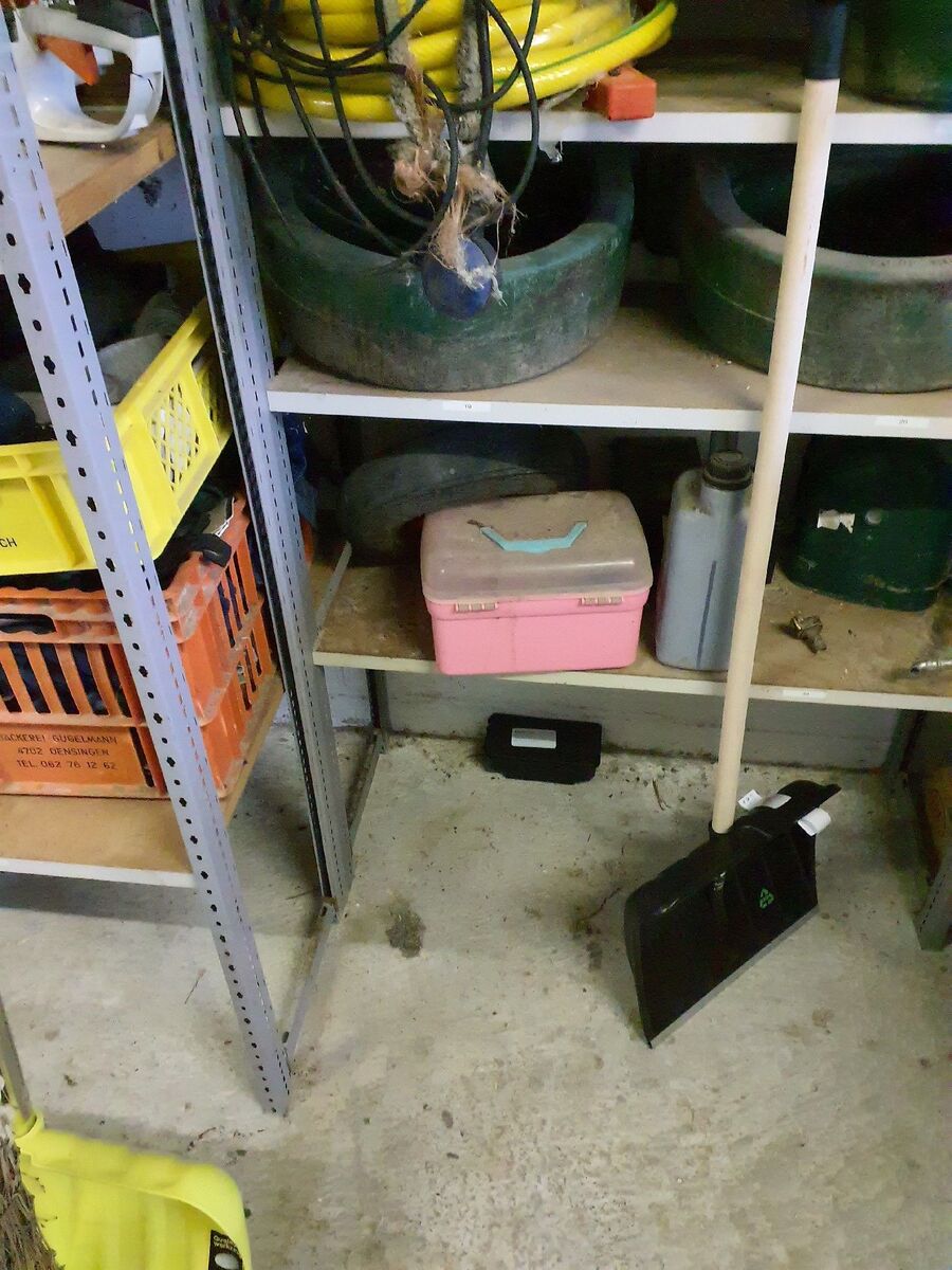 lutte-mulot-rats-rongeurs-souris