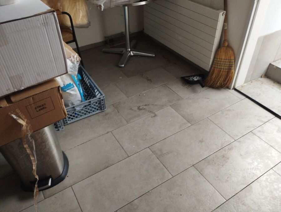 lutte-mulot-rats-rongeurs-souris