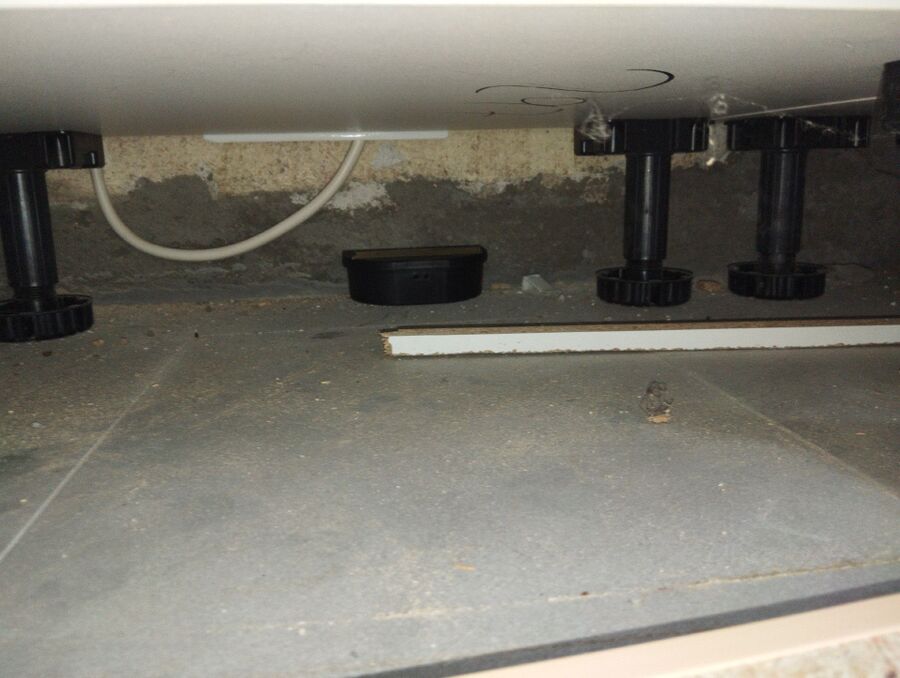 souris-rongeur-mulot-rats