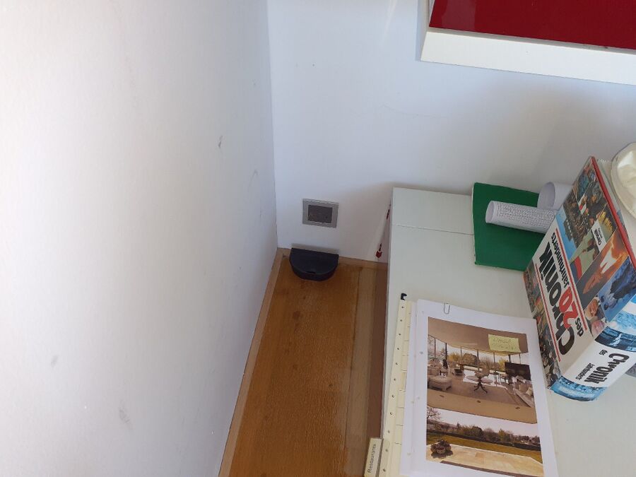 ratton-rats-rongeur-souris-deratiseur