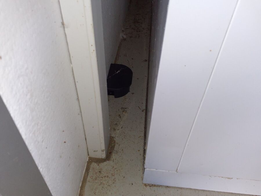 lutte-mulot-rats-rongeurs-souris