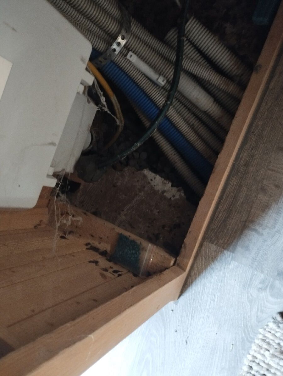 combattre-rats-ratton-rongeur-mulot