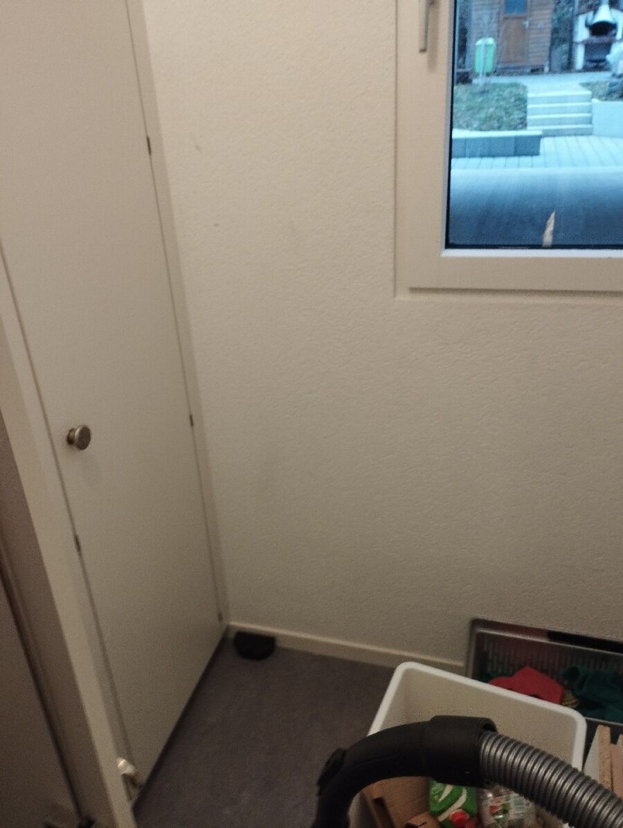 ratton-rats-rongeur-souris-deratiseur