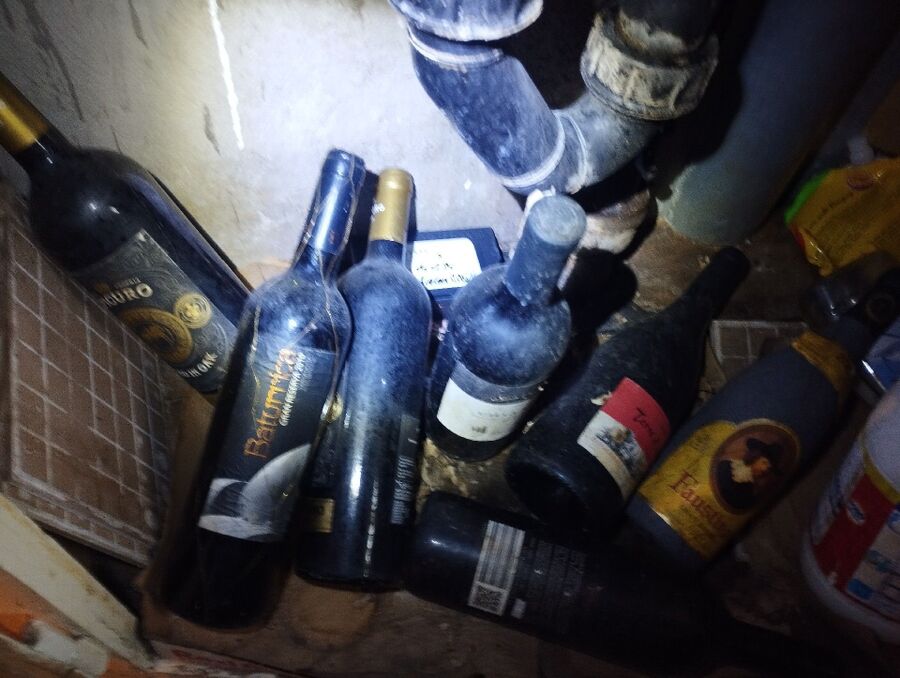 souris-rongeur-mulot-rats