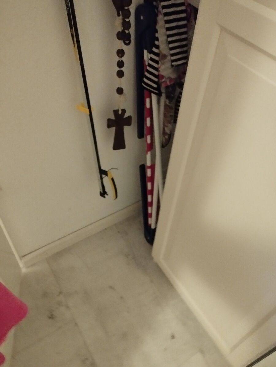 lutte-mulot-rats-rongeurs-souris