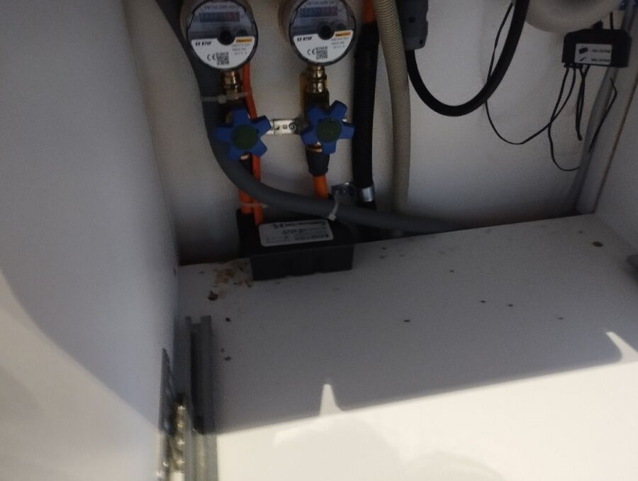 souris-rongeur-mulot-rats