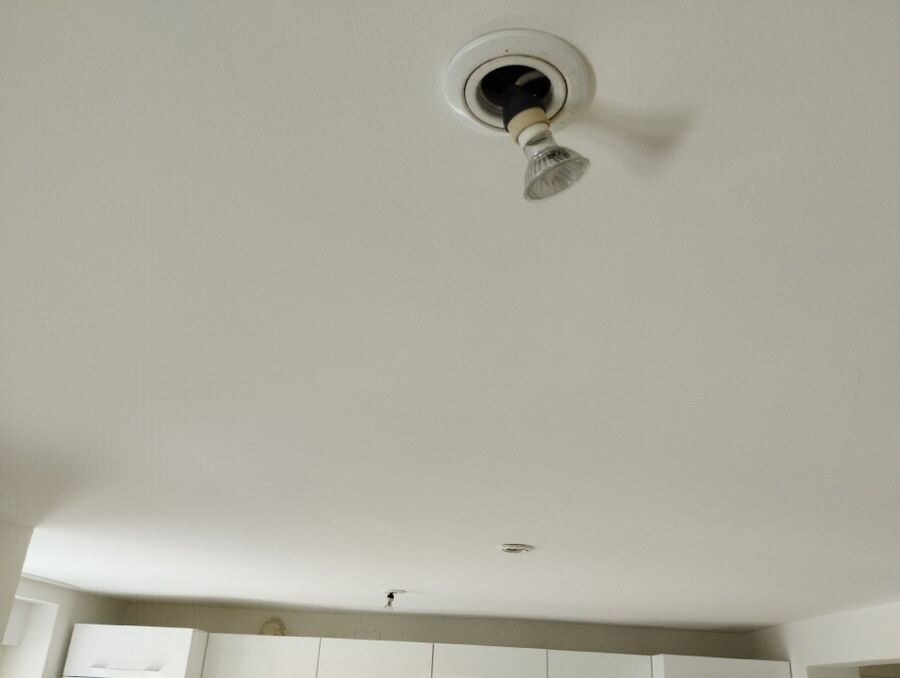 souris-rongeur-mulot-rats