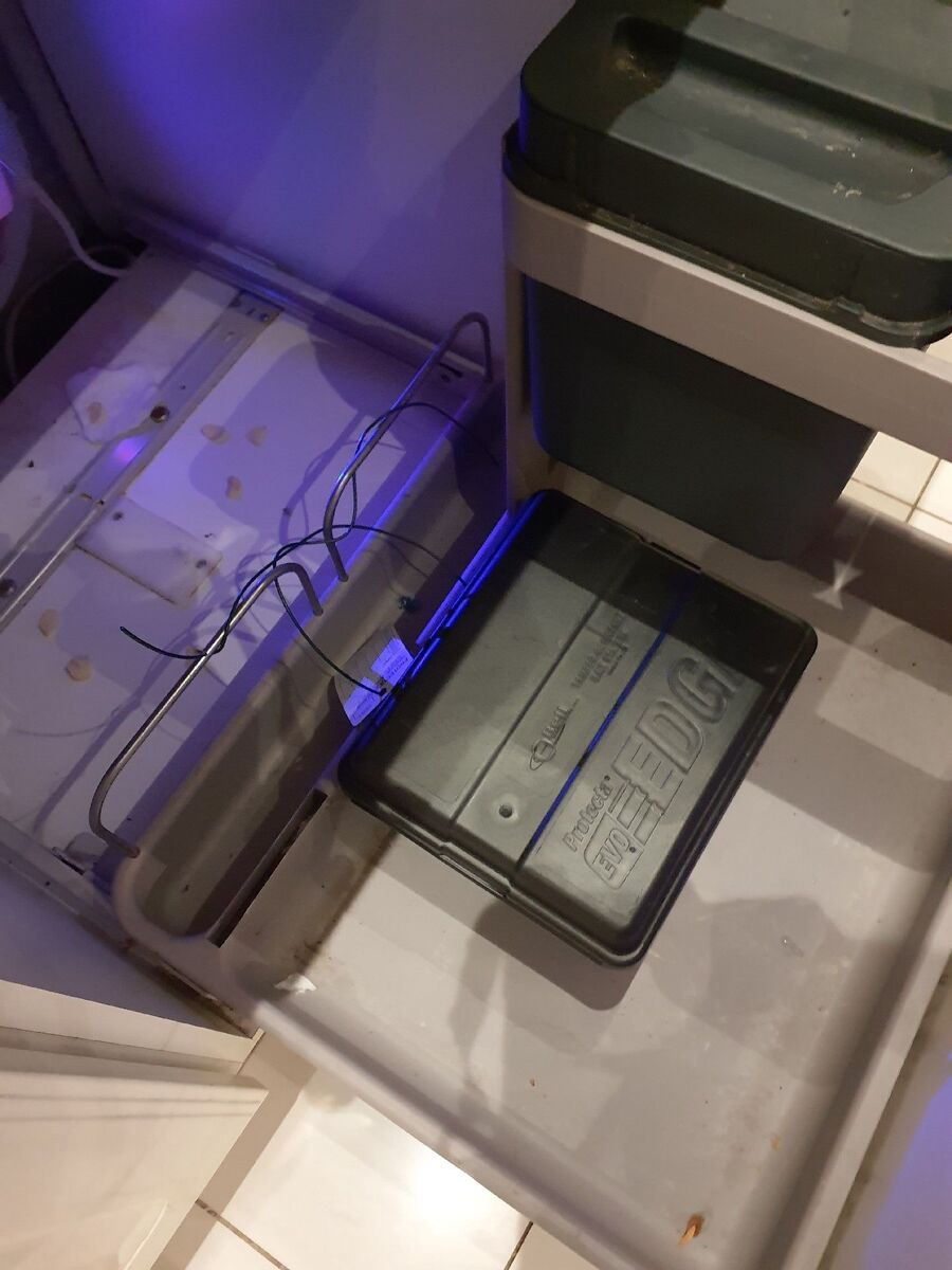 souris-rongeur-mulot-rats