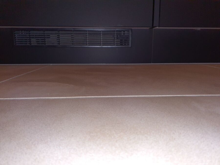 souris-rongeur-mulot-rats