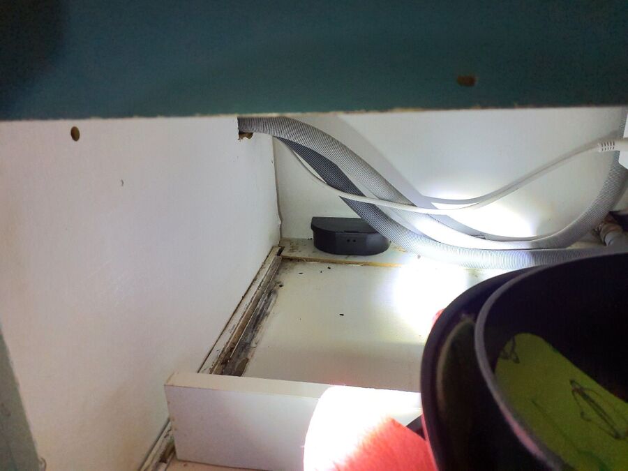 combattre-rats-ratton-rongeur-mulot