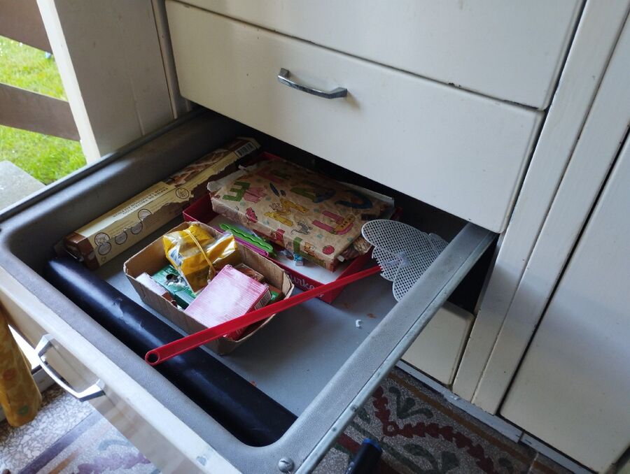 souris-rongeur-mulot-rats