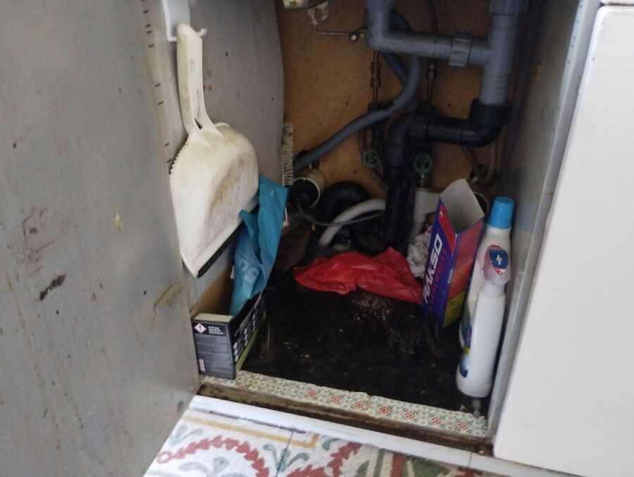 ratton-rats-rongeur-souris-deratiseur