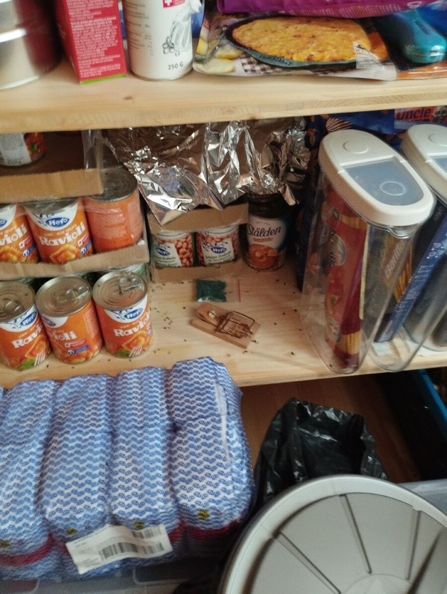 lutte-mulot-rats-rongeurs-souris